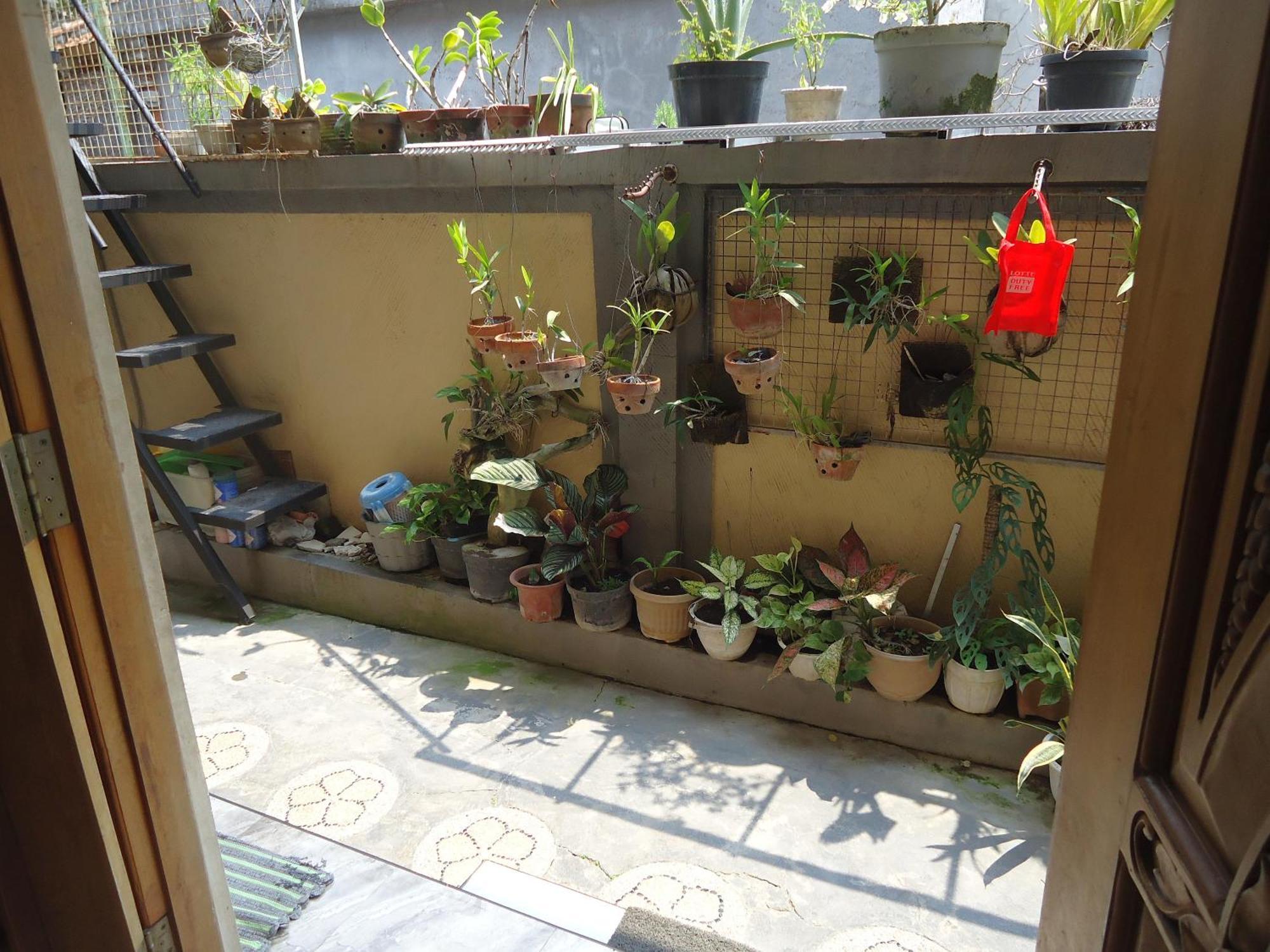 The Reinhold Guesthouse Bali 캐로보칸 외부 사진